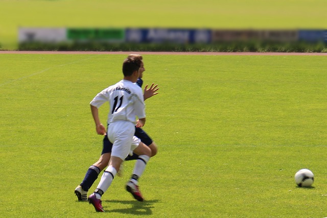 给球队提出 给球队提出